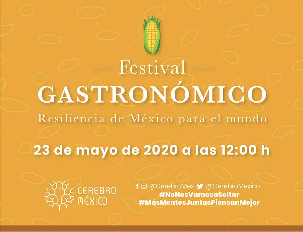 Festival Gastronómico: La plataforma de resiliencia de Cerebro México