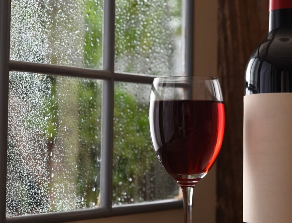 
					Recomendaciones de vinos para una tarde lluviosa