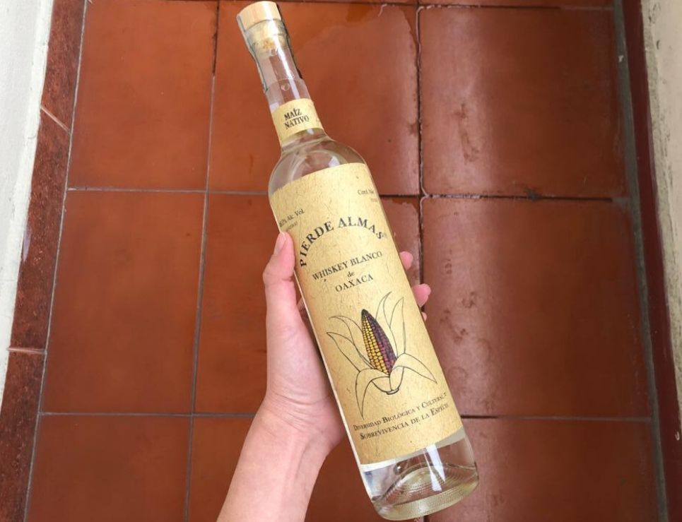 Whiskys orgullosamente oaxaqueños elaborados con maíz criollo 0