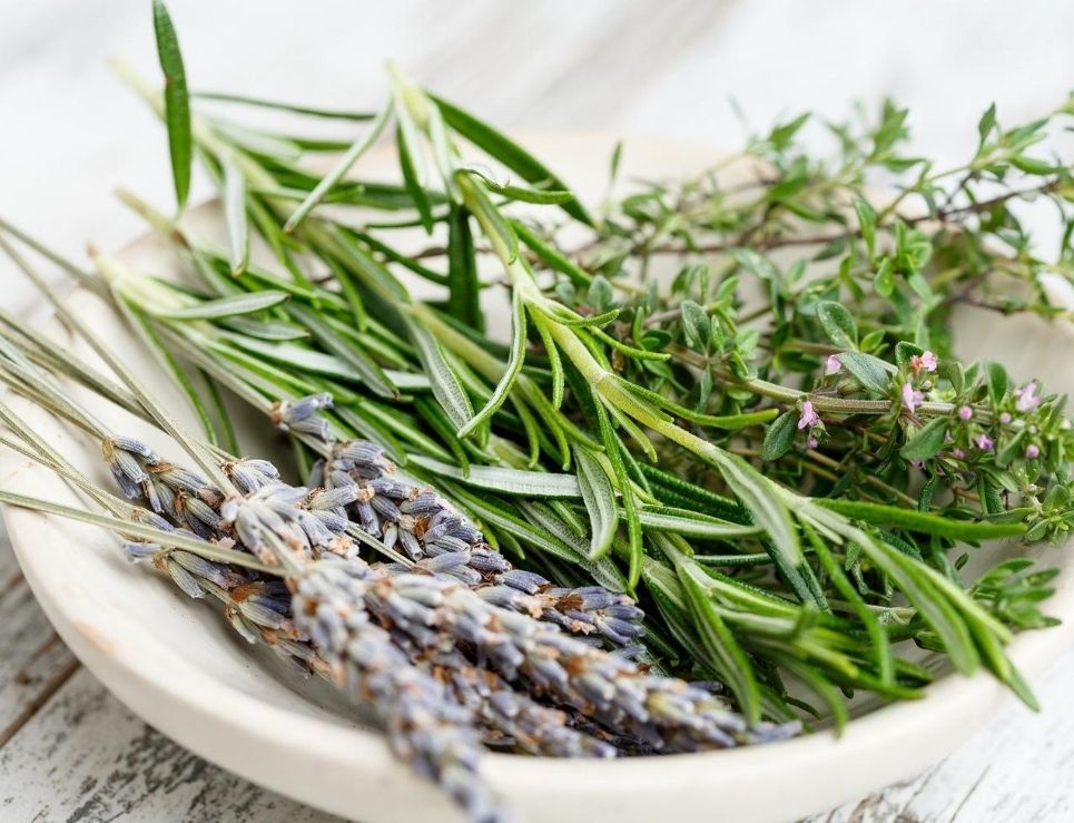 Tips para aprovechar al máximo tus hierbas de olor en la cocina