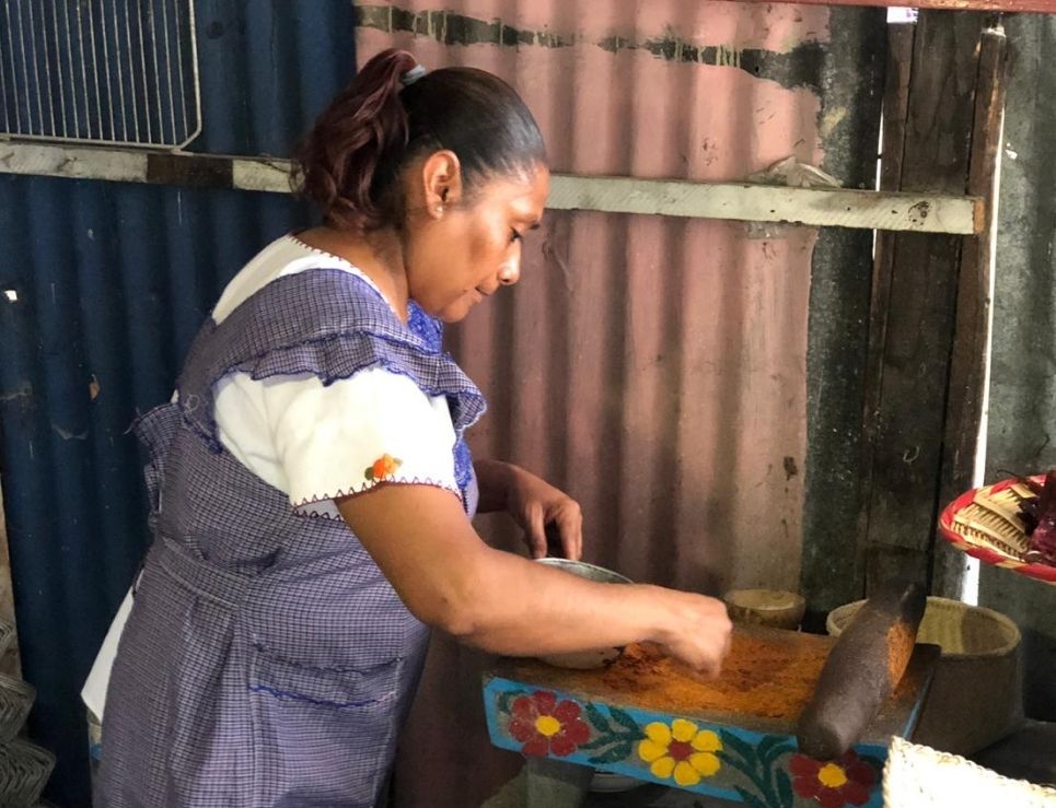 Sabor de maguey, un colectivo de mujeres recolectoras de insectos comestibles de Oaxaca 0