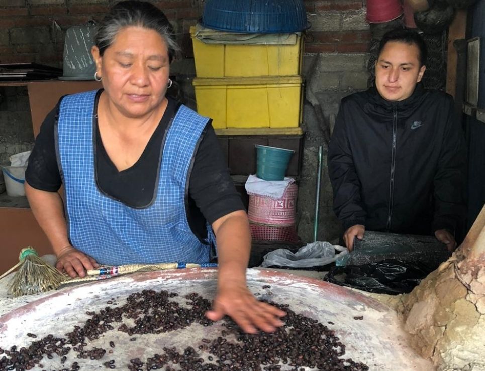 Sabor de maguey, un colectivo de mujeres recolectoras de insectos comestibles de Oaxaca 1
