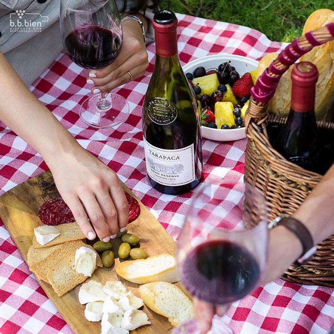 vina-tarapaca-vino-gran-reserva-carmenere