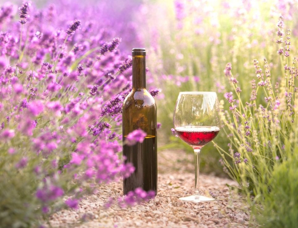 
	     Maridaje de flores con vino para la temporada de sol