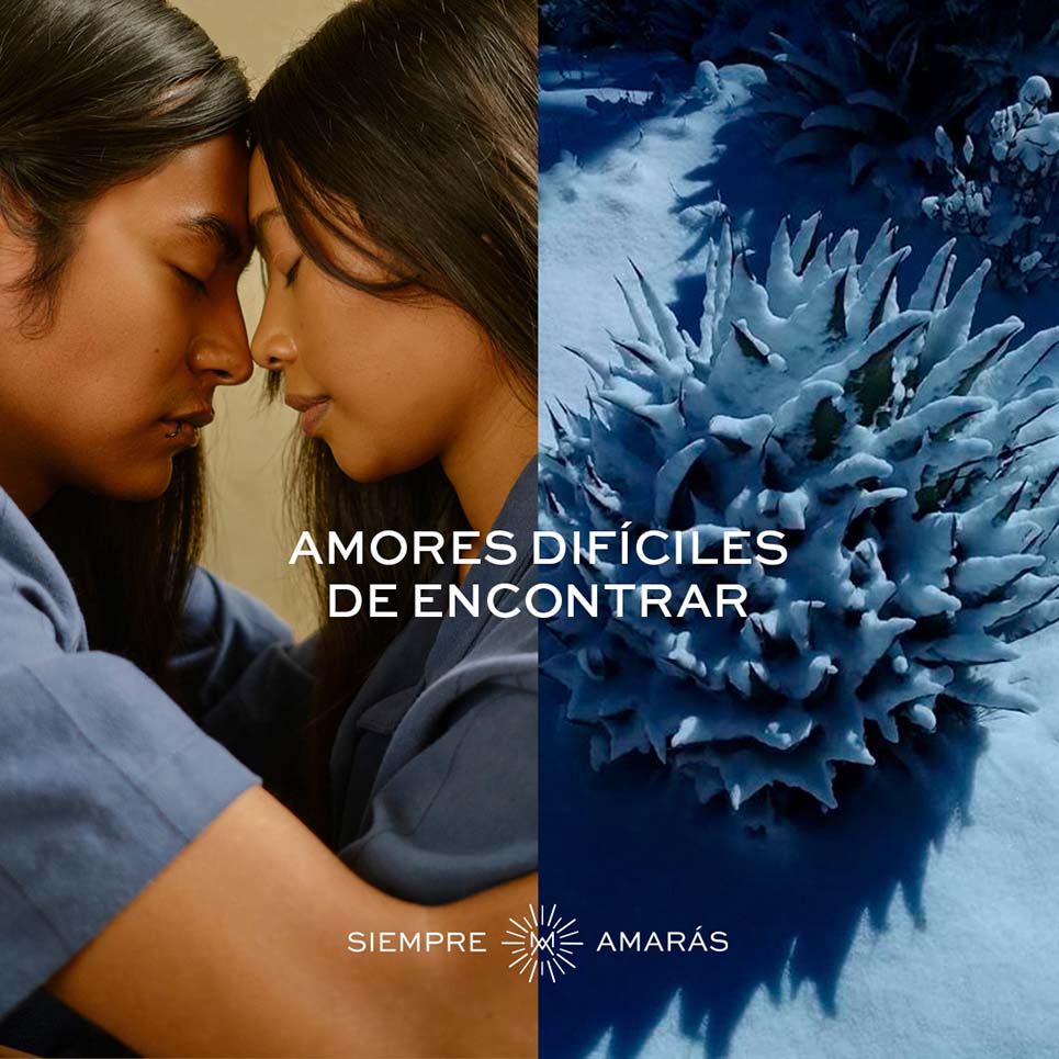 Mezcal Amores presenta Amarás. Una campaña de amor a Oaxaca 5