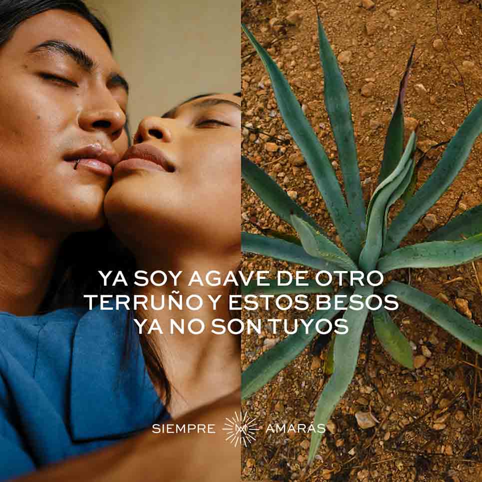Mezcal Amores presenta Amarás. Una campaña de amor a Oaxaca 4