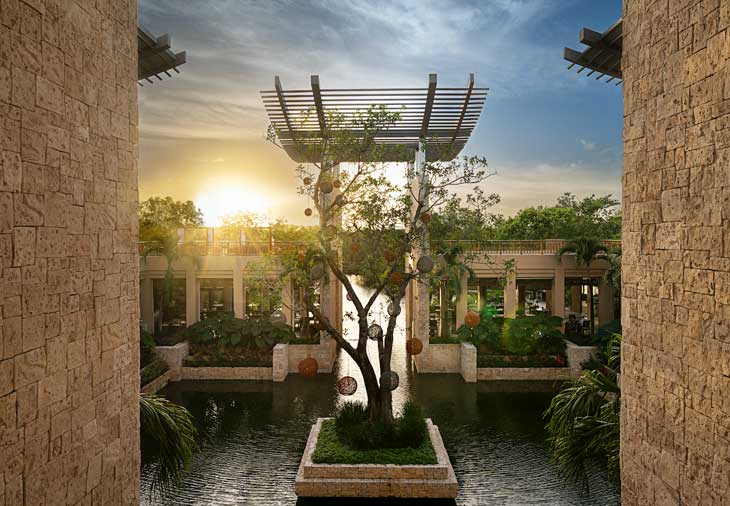 
					Banyan Tree, un pedacito de la cultura de Tailandia en México