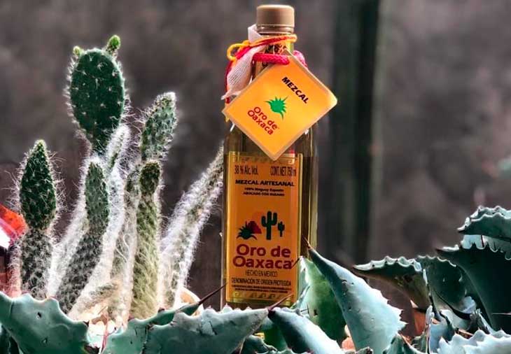 
					Mezcal Oro de Oaxaca, una bebida con historia y tradición