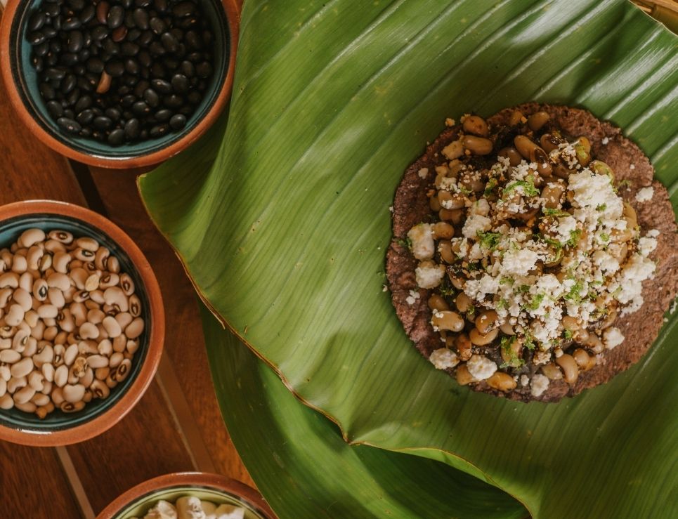 
	     MILPA, tacos de la tierra hechos con maíces de la Costa de Oaxaca