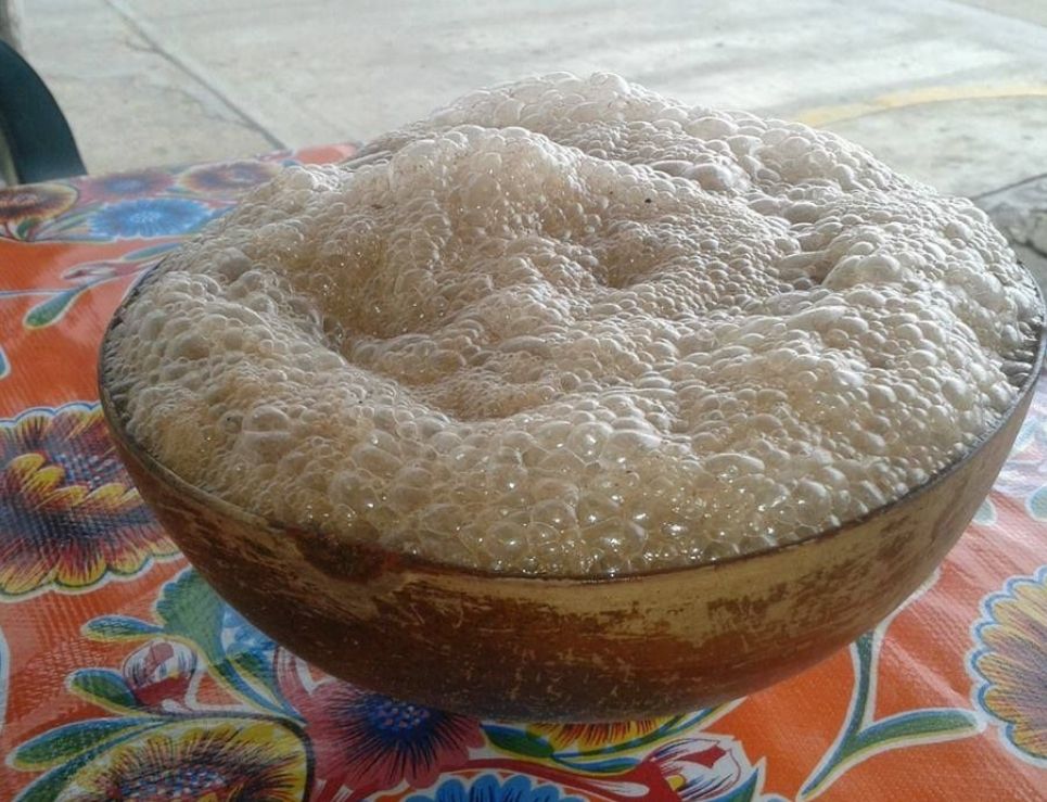 Cocolmeca, la raíz que espuma bebidas en Oaxaca y Veracruz