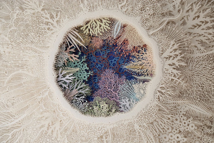 Rogan Brown Kiri-e Ghost Coral Colour Variation