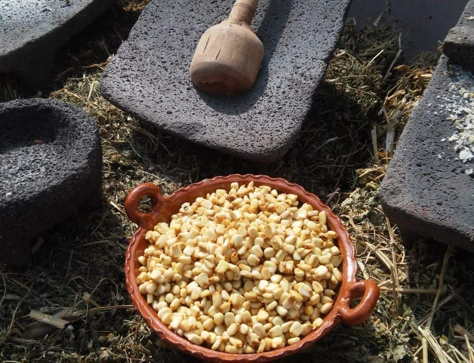 pinole-granos-maiz-metate