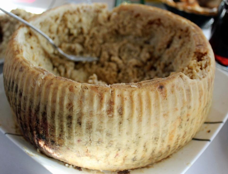 Casu Marzu, el ‘queso prohibido’ fermentado por larvas de mosca