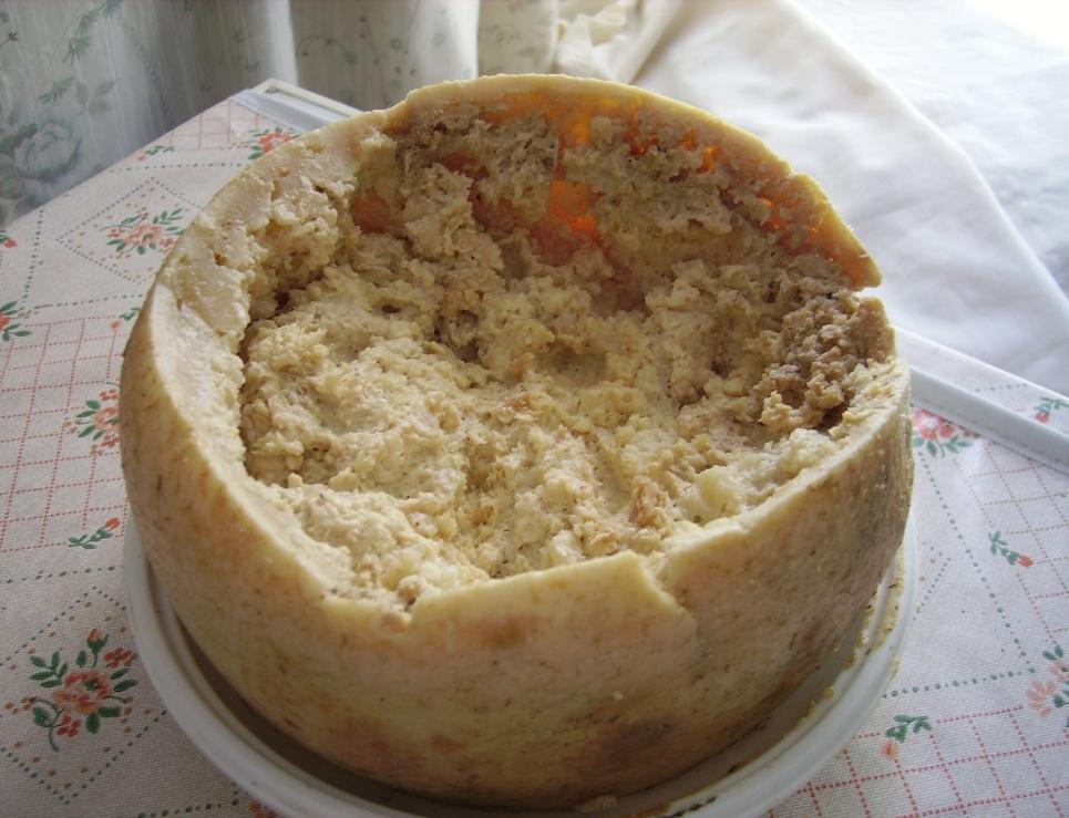 El extraño queso italiano Casu Marzu con larvas vivas 0