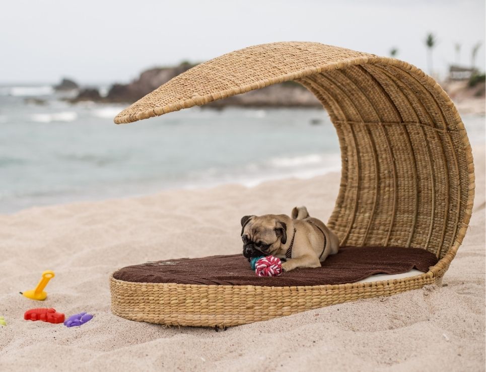 camas especiales para tus mascotas en la playa