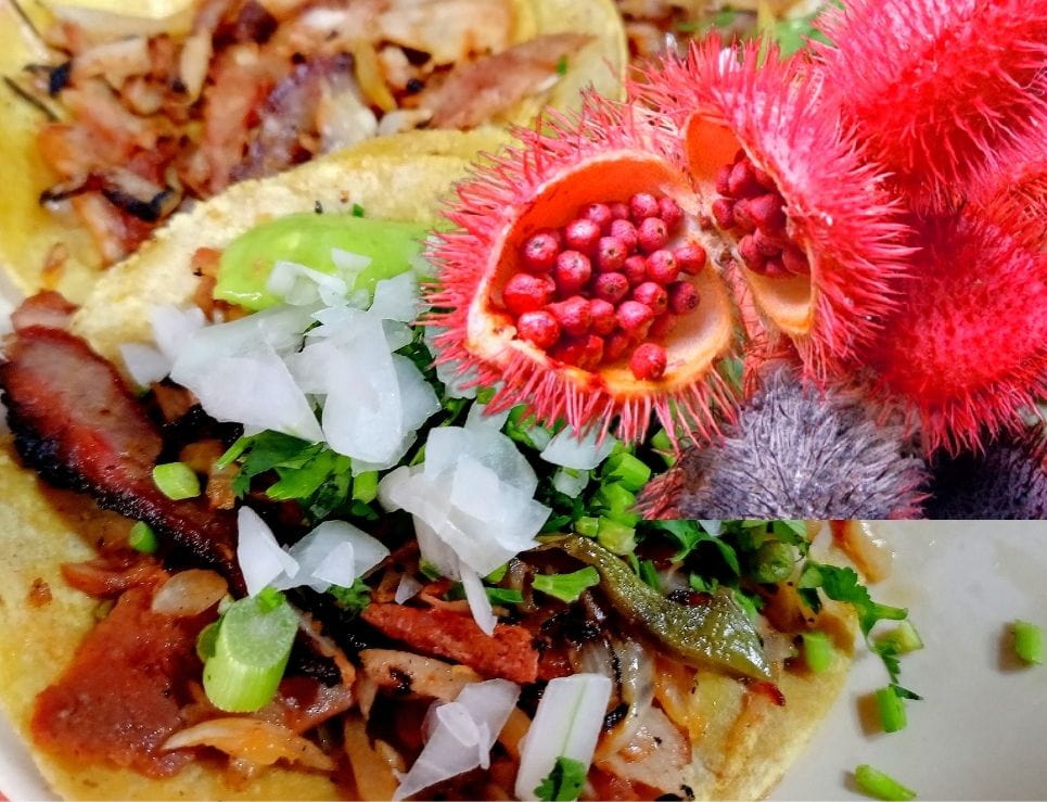 
					Achiote, la especia que colorea y saboriza la cocina mexicana 