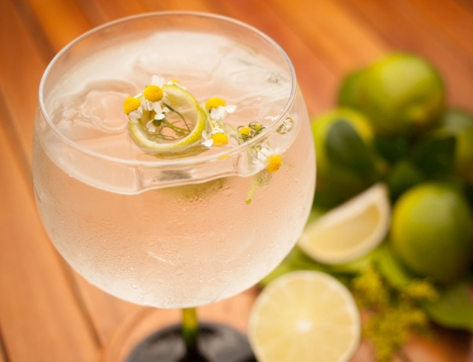 3 recetas fáciles para que festejes el Día Internacional del Gin&Tonic 0
