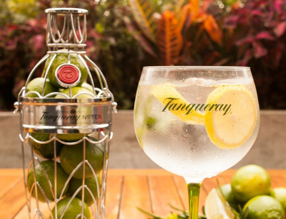 3 recetas fáciles para que festejes el Día Internacional del Gin&Tonic 1