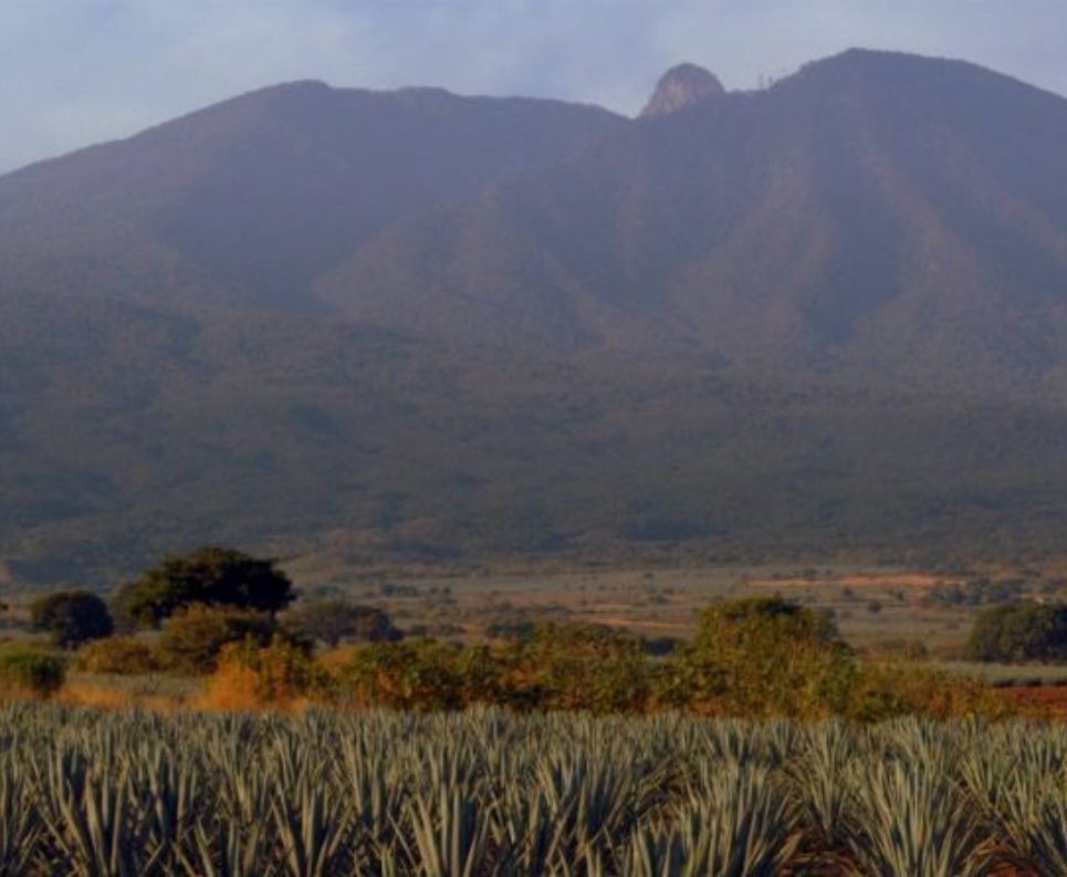 volcán-tequila-ecoturismo 