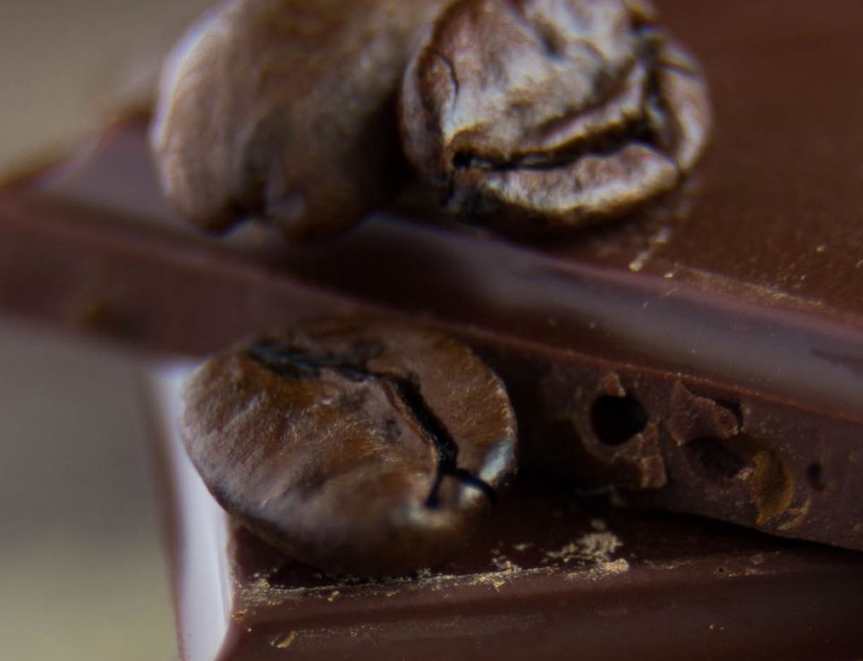 Cacao y café: ¿qué tienen en común?