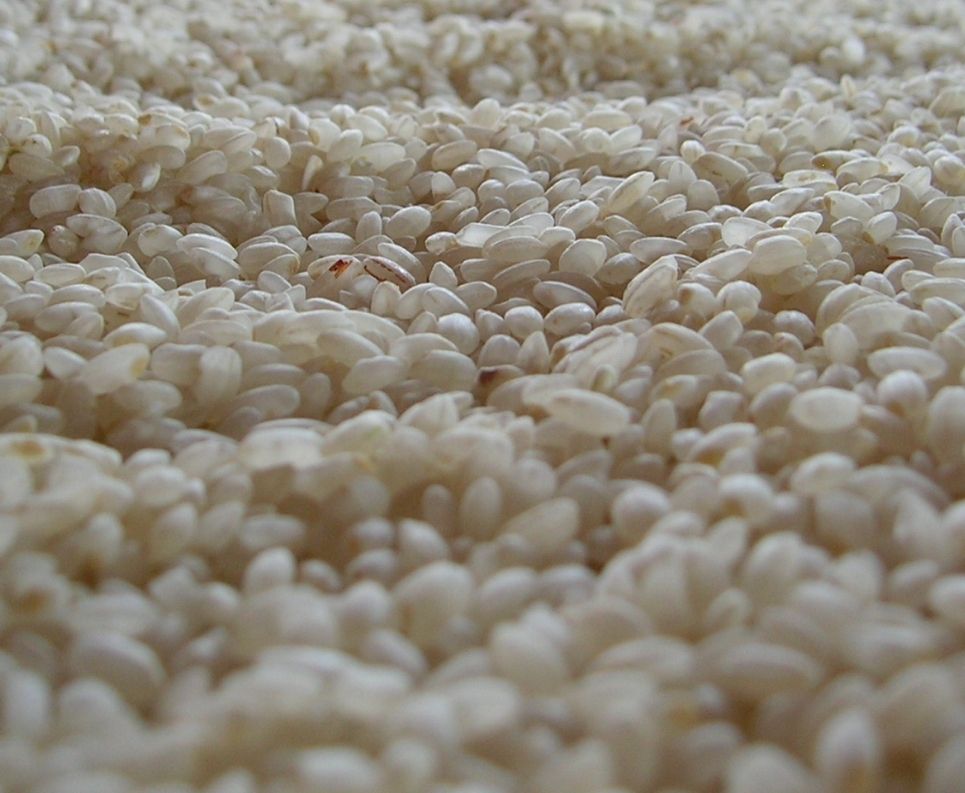 risotto-arroz