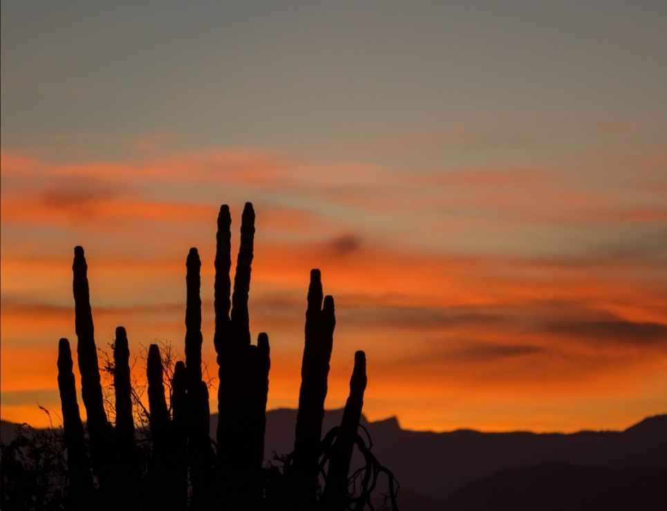 7 experiencias para disfrutar Baja California en Semana Santa