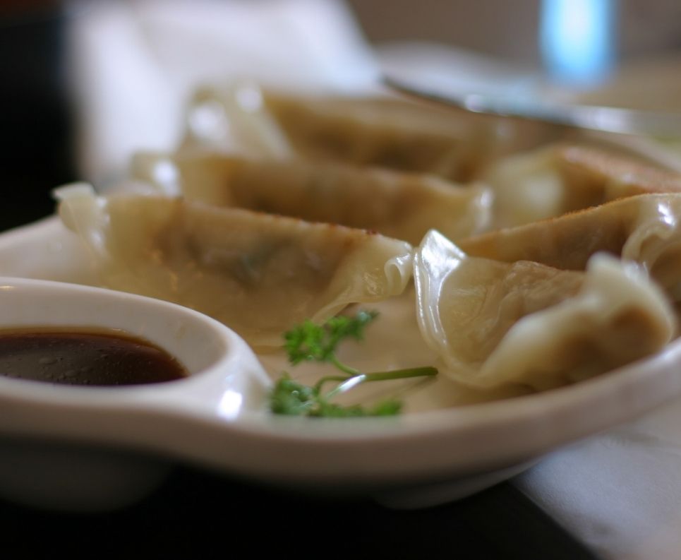 dumplings-gyozas