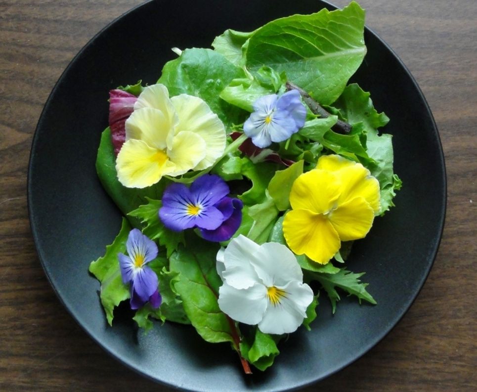 Tres recetas de flores exóticas comestibles que debes probar