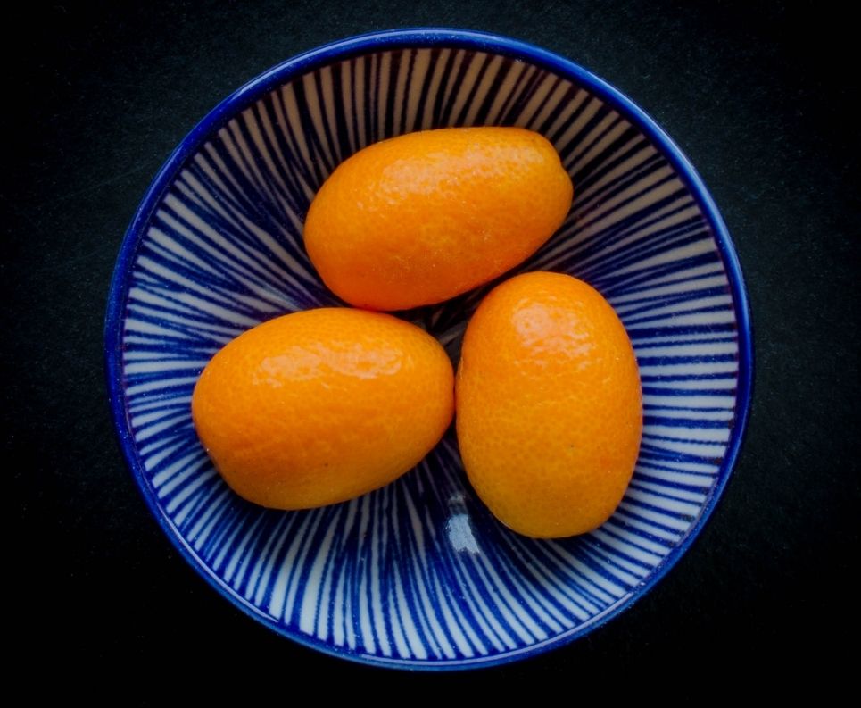 kumquat-plato-azul