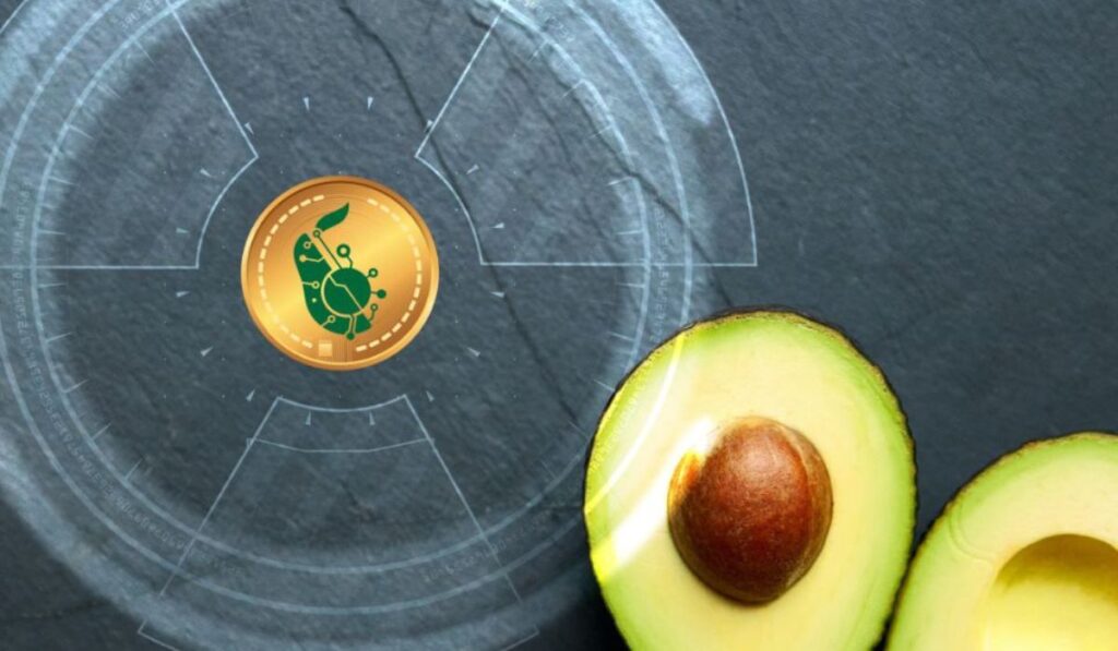 Avocado Coin, la criptomoneda que apoya la agricultura sustentable
