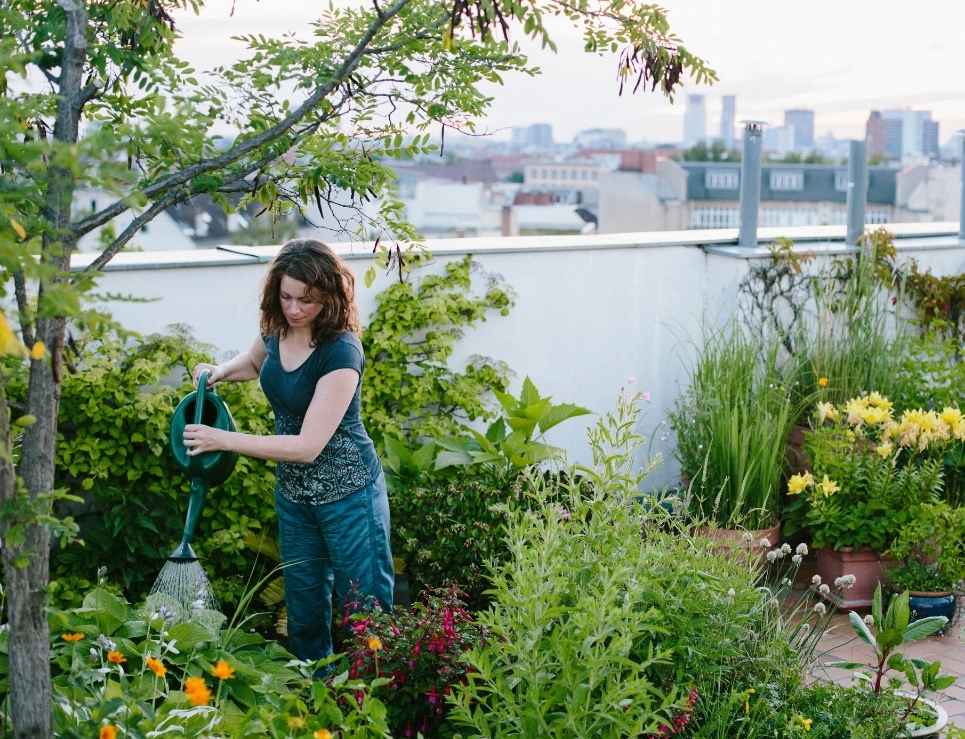 8 tips para crear tu propio huerto urbano y qué sembrar en él