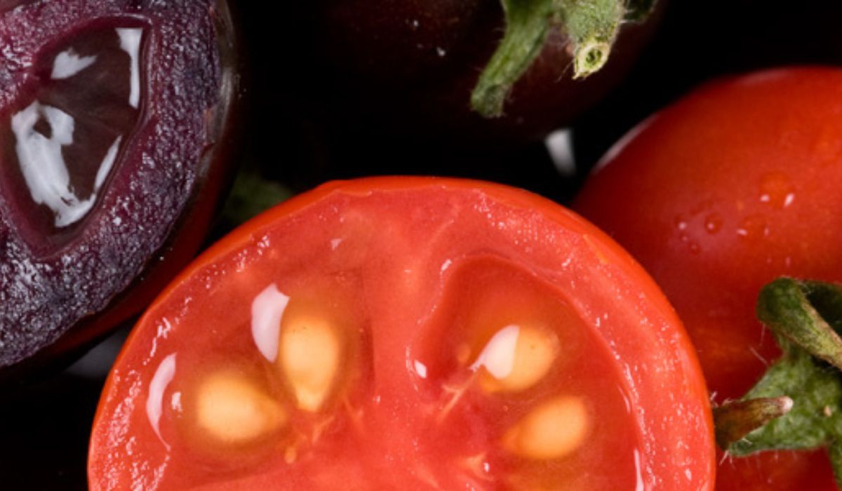tomate morado