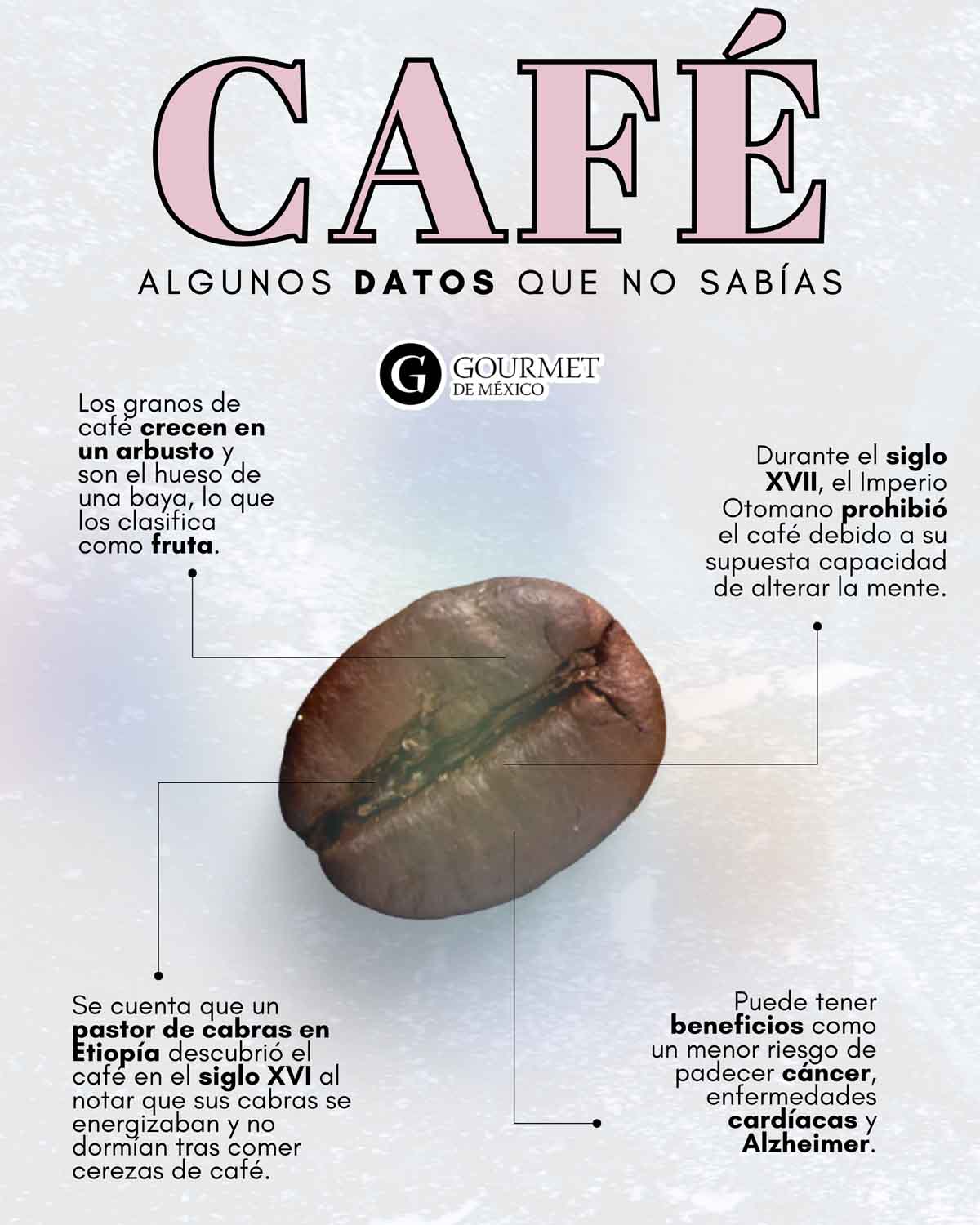 Datos que debes saber del café