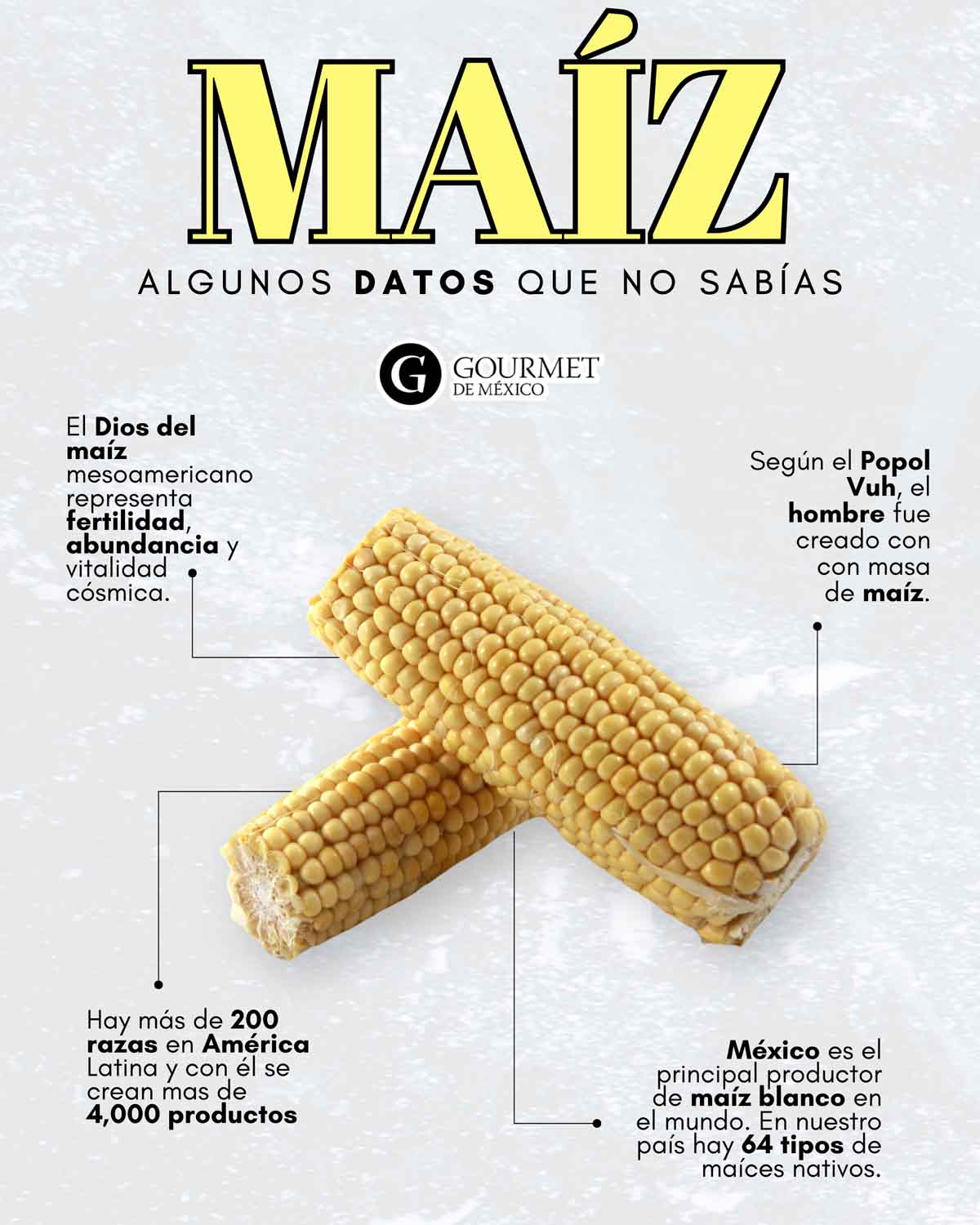 datos-del-maiz.jpg