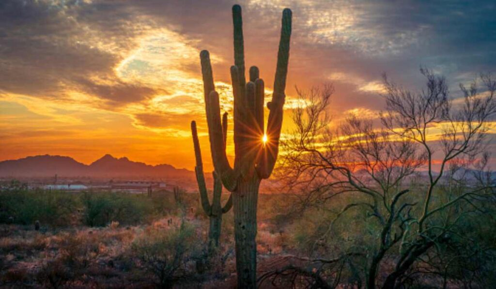 Scottsdale, lo que debes conocer en la joya del desierto de Arizona