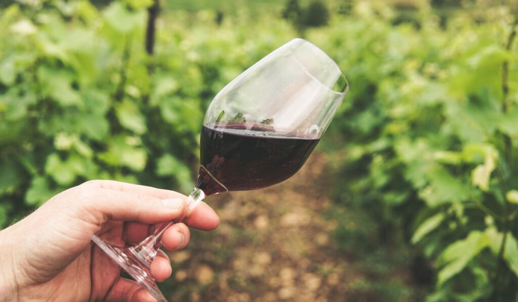 Las 7 vinícolas más raras del mundo ubicadas en lugares casi imposibles para el vino