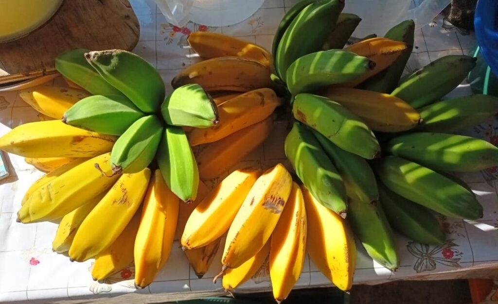 Estos son los 10 tipos de plátanos que puedes conseguir en México