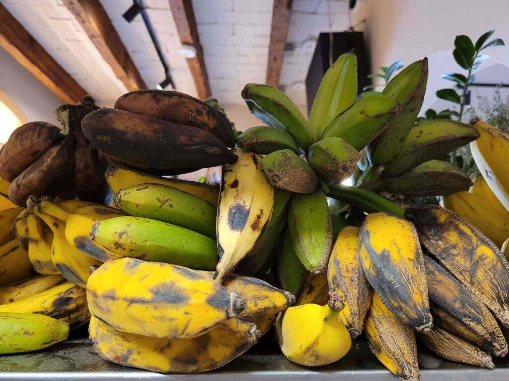 Estos son los 10 tipos de plátanos que puedes conseguir en México 1