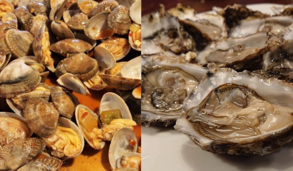 Diferencias entre ostras y almejas ¿son lo mismo?