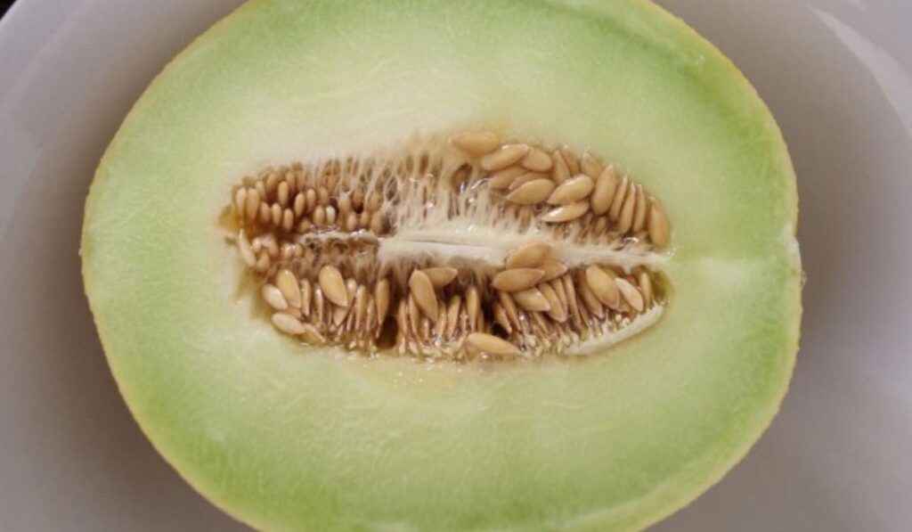 Diferencias entre melón verde y chino