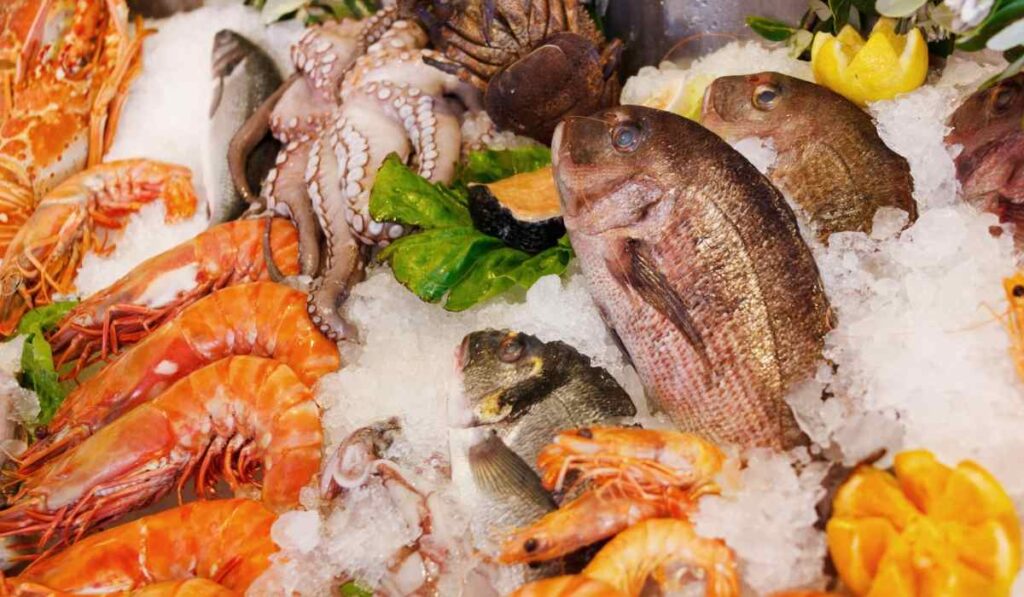 Realmente los mariscos son afrodisiacos? Mitos y realidades | Gourmet de  México