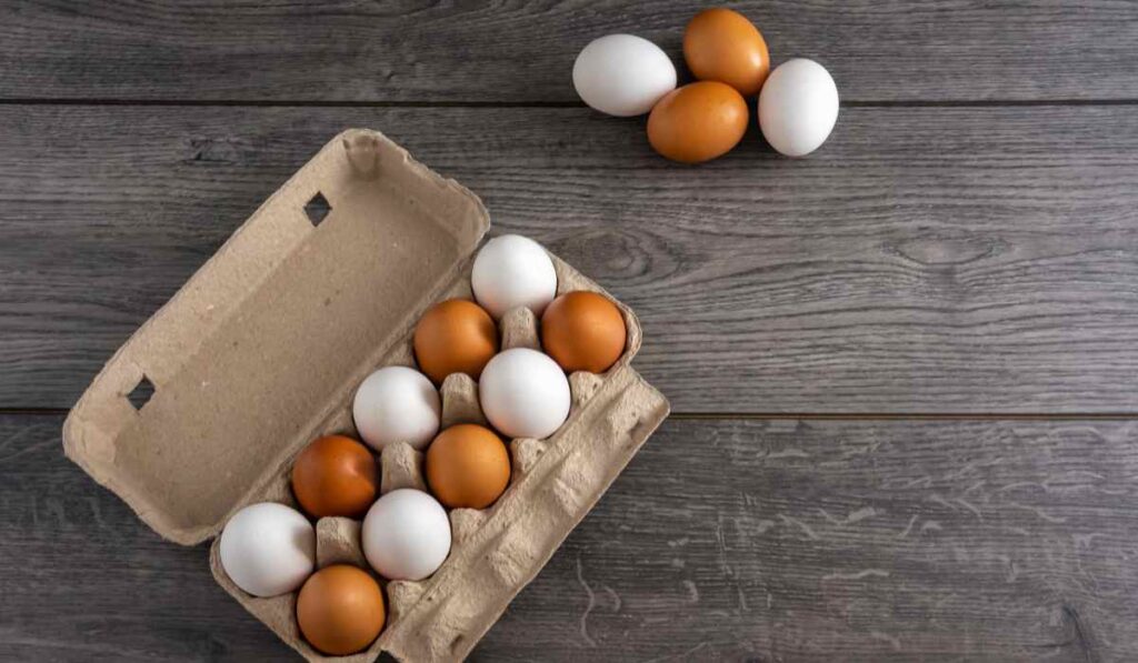 Diferencia entre huevos orgánicos y huevos libres de jaula