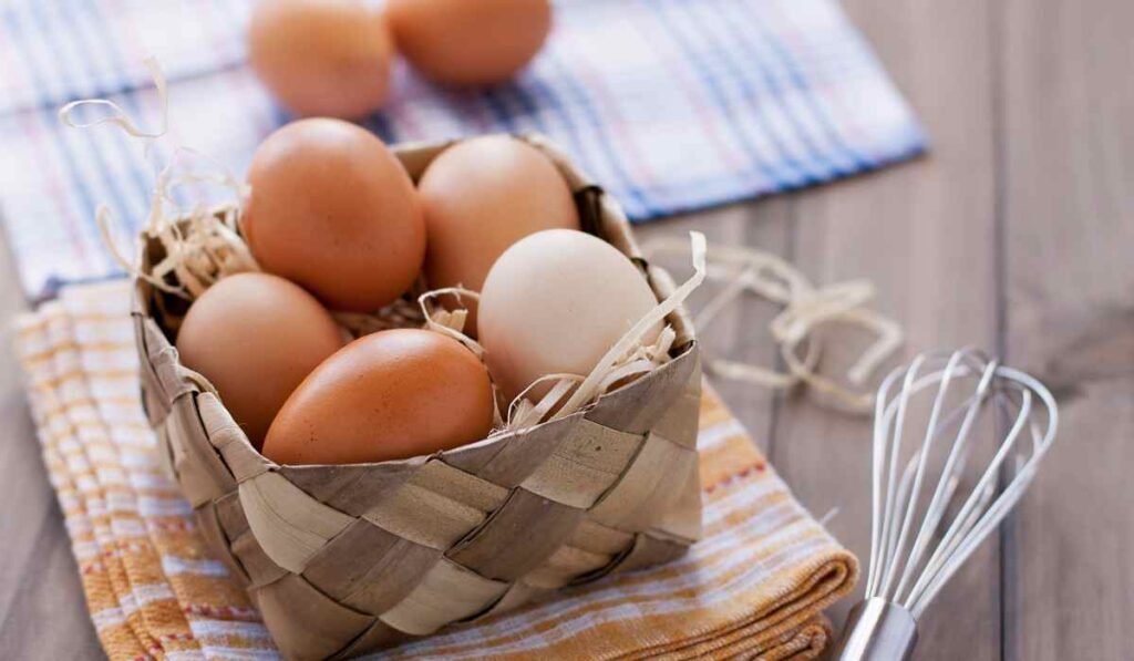 Diferencia entre huevos orgánicos y huevos libres de jaula 0