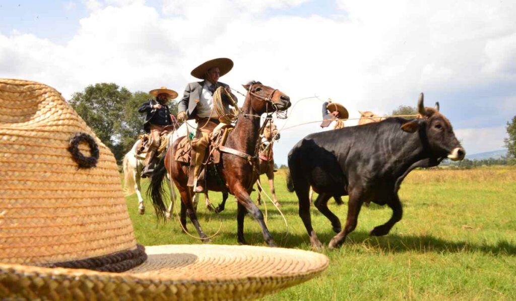 5 experiencias imperdibles que debes vivir en Lagos de Moreno, Jalisco