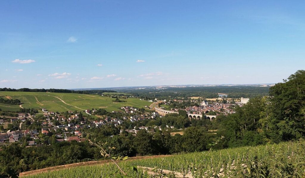Valle del Loira, la región vinícola con patrimonio histórico de Francia 0