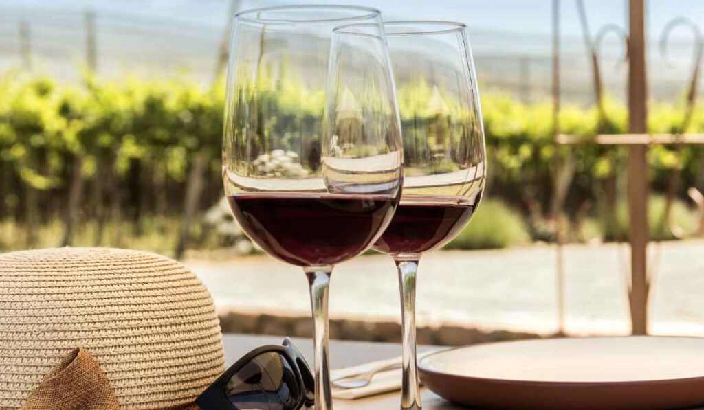 5 Destinos internacionales que debes visitar si eres un amante del vino