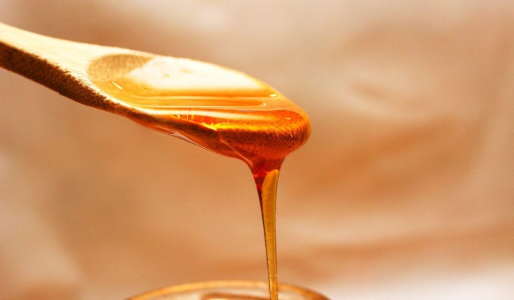 Cucharada de miel, producción de las abejas reina.