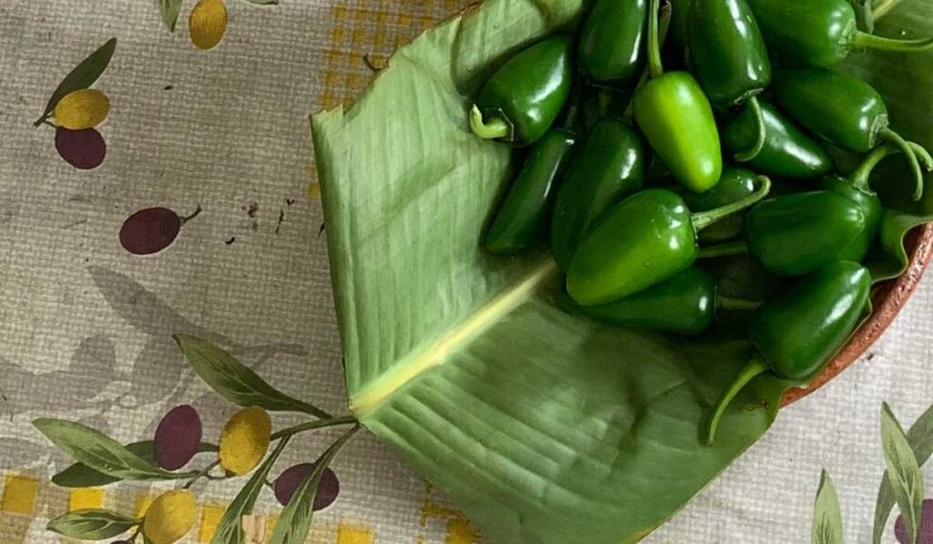 Foto de chiles jalapeños verdes