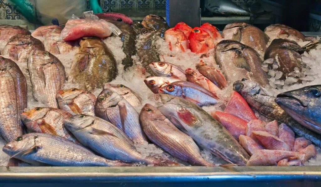 5 pescados mexicanos poco conocidos que deberías probar ya