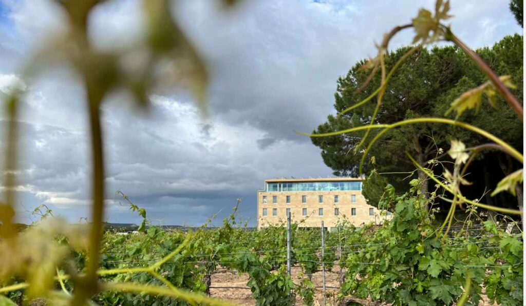 Bodegas Arzuaga, tradición familiar en la Ribera del Duero 1